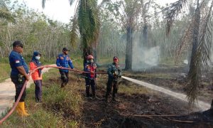 Dalam Sehari Puluhan Hektar Perkebunan Sawit & Karet di Mesuji Terbakar