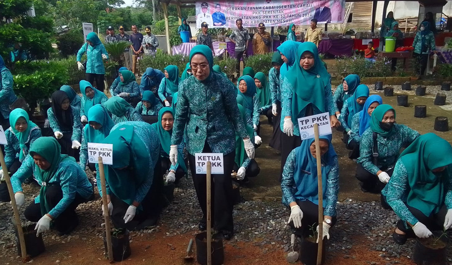 Atasi Inflasi Pangan, TP PKK Mesuji Ikut Sukseskan Program Nasional Gertam Cabai