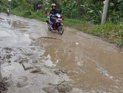 Postingan Jalan Hancur di Medsos Hiasi Perayaan HUT ke-25 Waykanan