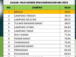 Urutan Pertama se-Lampung, Mesuji Unggul Dalam Standar Pelayanan Minimal