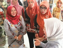 Ketua TP PKK Lampura Tinjau Gedung PKK & UMKM Craftina