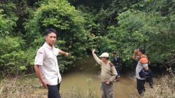 Heboh! Jejak Diduga Harimau Gegerkan Warga Register 45 Mesuji