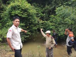 Heboh! Jejak Diduga Harimau Gegerkan Warga Register 45 Mesuji