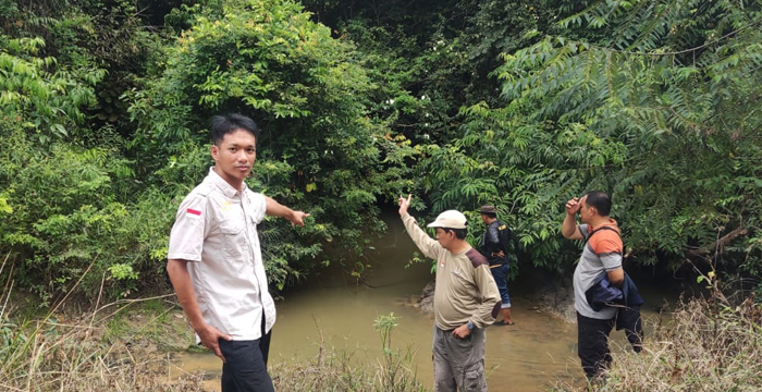Heboh! Jejak Diduga Harimau Gegerkan Warga Register 45 Mesuji