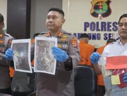 Kubur Bayi Hubungan Gelap, Sisiwi SMA di Lamsel Ditangkap Polisi