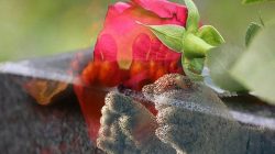 “Tangisan di Tanah Kasui: Mahasiswi Itu Pergi Bersama Bayinya yang Tak Pernah Menangis”