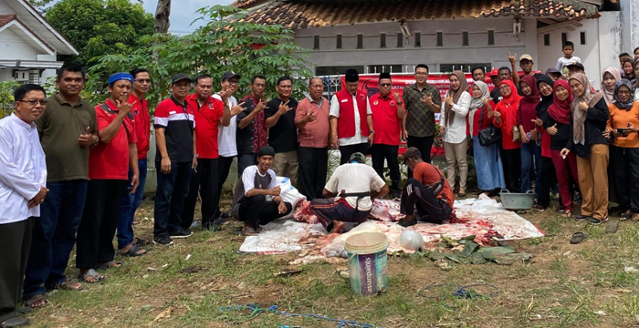 Hari Raya Qurban, DPC PDIP Lampura Sembelih 1 Sapi & 5 Kambing
