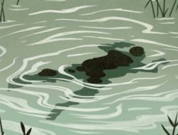 Mayat Mengapung Gegerkan Warga Natar, Polisi Masih Selidiki Identitas