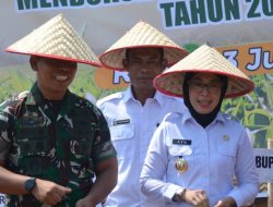 Bupati Way Kanan Dukung Swasembada Pangan, Tanam Jagung Bareng Kajati Lampung