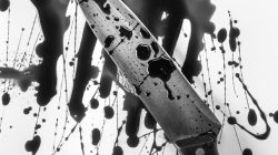 Sadis! Pria di Donggala Tebas Leher Ibu hingga Putus, Kepala Dilempar ke Rumah Kakak