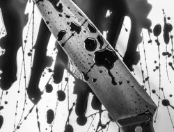 Sadis! Pria di Donggala Tebas Leher Ibu hingga Putus, Kepala Dilempar ke Rumah Kakak