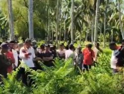 Karyawati Mekar Ditemukan Setengah Bugil di Kebun Kelapa Pasangkayu