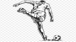 Piala DPRD Lampura Diduga Ternoda, Panitia Tak Bayar Sewa GOR, Penonton Dipungut Tiket