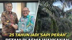 25 Tahun Jadi “Sapi Perah”, Petani Plasma Waykanan Akhirnya Mengadu ke Menteri