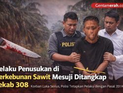 Gara-gara Sawit Curian, Pria di Mesuji Ditusuk Hingga Luka Serius