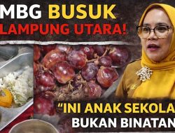 MBG Busuk, Guru SD di Lampura “Ngamuk”, 11 Siswa Keracunan