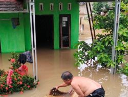 Banjir Rendam 300 Rumah & Dua Sekolah di Lampura, Air Capai Dua Meter