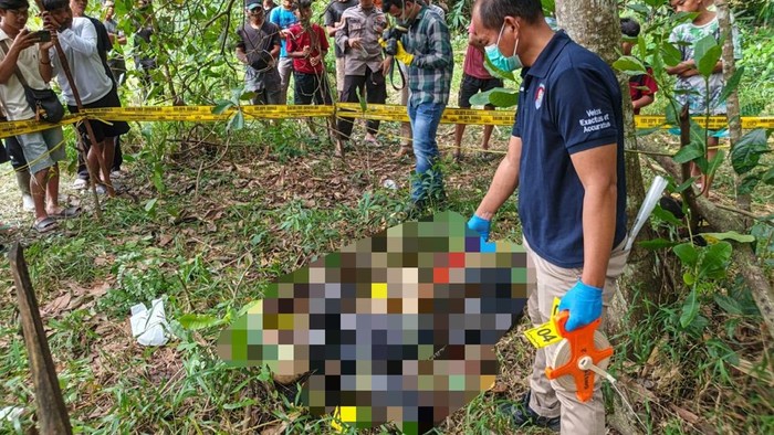 Kerangka Pria Ditemukan di Perkebunan Lamteng, Polisi Temukan Identitas Korban