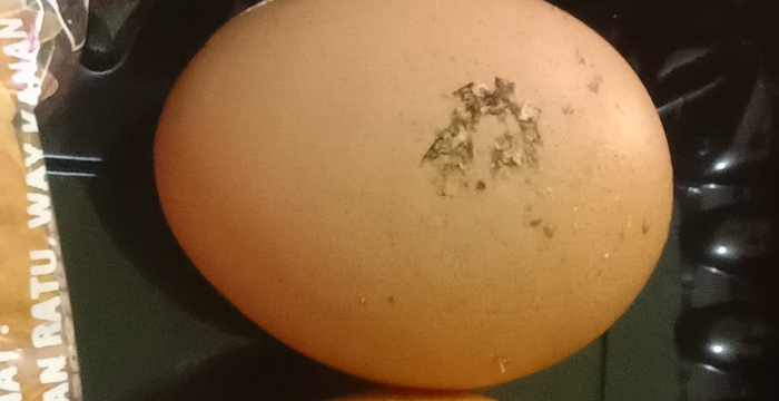 Telur MBG Diduga Masih Berlumur Kotoran, Wali Siswa Soroti Dapur Program di Negeri Agung