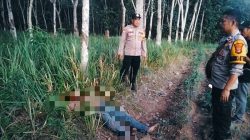 Pria di Tulangbawang Tewas Bersimbah Darah di Kebun Sawit, Polisi Tangkap Pelaku yang Ternyata Tetangganya