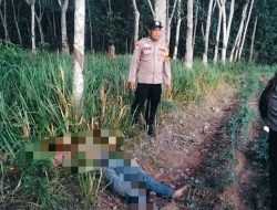 Pria di Tulangbawang Tewas Bersimbah Darah di Kebun Sawit, Polisi Tangkap Pelaku yang Ternyata Tetangganya