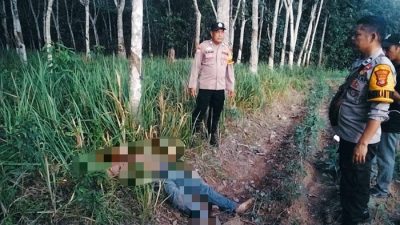 Pria di Tulangbawang Tewas Bersimbah Darah di Kebun Sawit, Polisi Tangkap Pelaku yang Ternyata Tetangganya