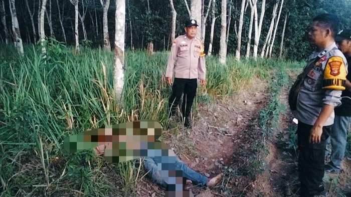 Pria di Tulangbawang Tewas Bersimbah Darah di Kebun Sawit, Polisi Tangkap Pelaku yang Ternyata Tetangganya