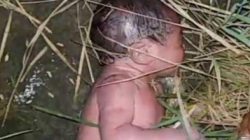 Bayi Perempuan Ditemukan di Pinggir Sungai Musi, Masih Bertali Pusar dan Berlumuran Darah