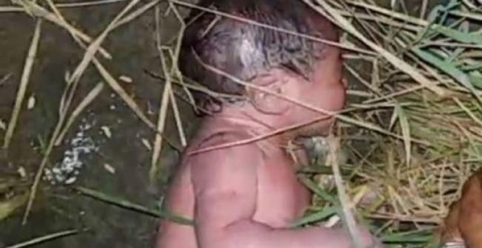 Bayi Perempuan Ditemukan di Pinggir Sungai Musi, Masih Bertali Pusar dan Berlumuran Darah