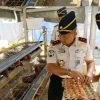 Kakanwil Ditjenpas Lampung Tinjau Pembinaan di Lapas Waykanan, Panen Telur hingga Tebar Benih Lele