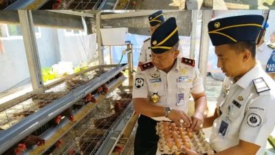 Kakanwil Ditjenpas Lampung Tinjau Pembinaan di Lapas Waykanan, Panen Telur hingga Tebar Benih Lele