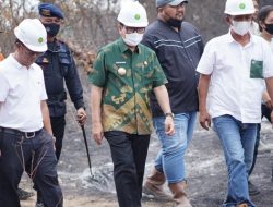 33 Ha Lahan Sawit Terbakar, Bupati Lampura Wanti-Wanti Api Muncul Lagi