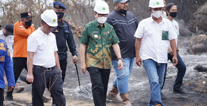 33 Ha Lahan Sawit Terbakar, Bupati Lampura Wanti-Wanti Api Muncul Lagi